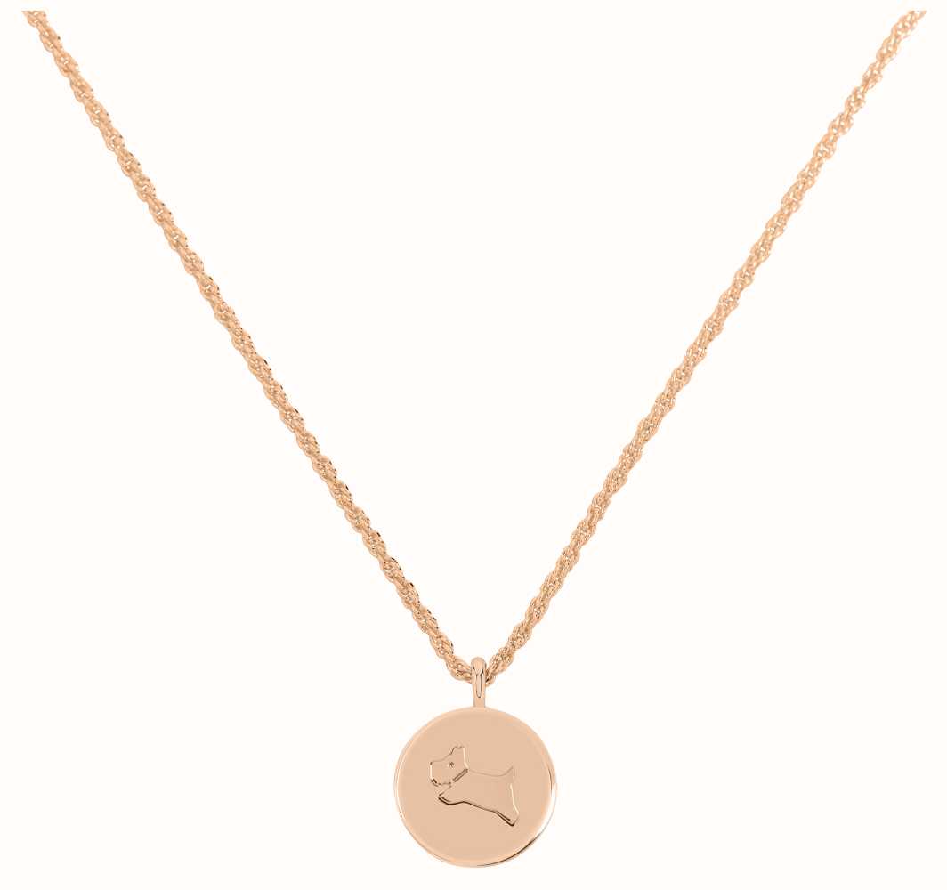 Gold filled hot sale disc necklace