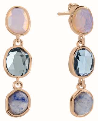Radley Jewellery Tulip Street Rose Gold Plated Crystal Set Drop Stud Earrings RYJ1374S