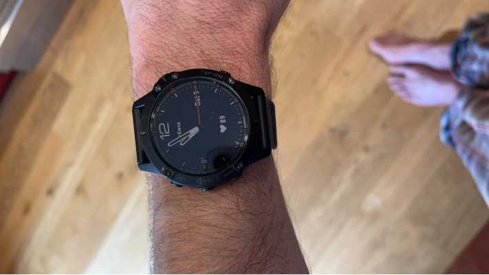 輝く高品質な GARMIN With fenix Band 6S Sapphire Black DLC