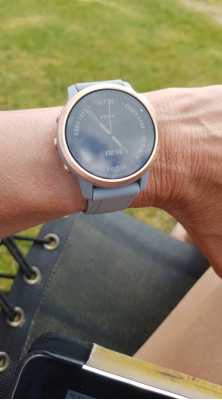 Garmin fenix 6s discount grey